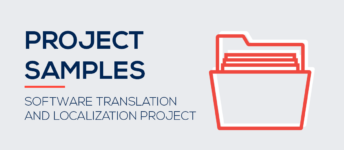 Software Translation and Localization Project